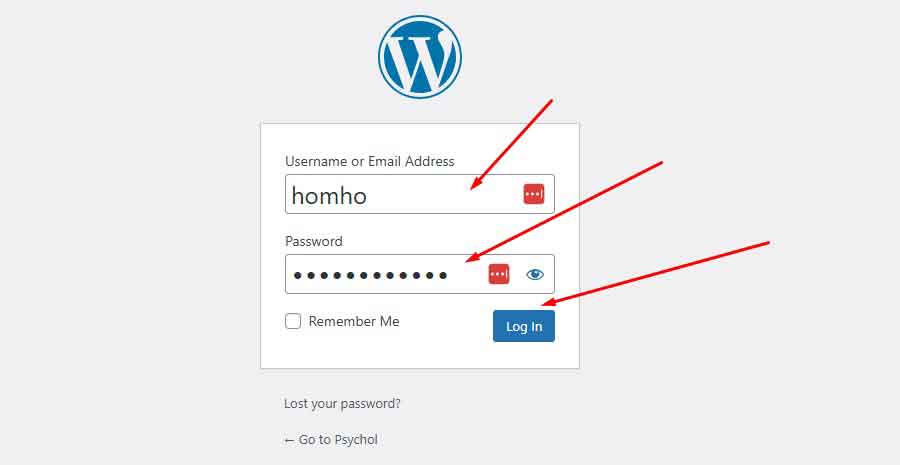 How to login to WordPress sites-2