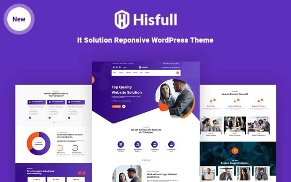 hisful-it solution